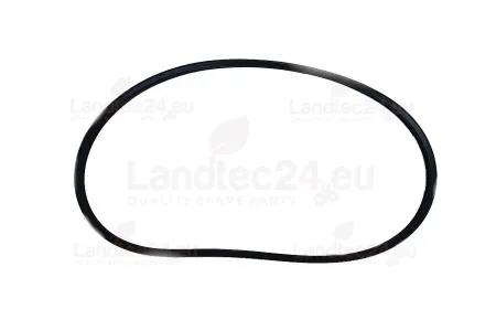 0131700 Amazone V-belt dual for groundcare machines