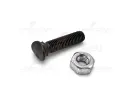 HC182 Amazone Planet screw M10X45 8.8