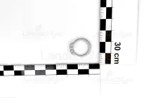 Amazone DL077 Sicherungsring DIN...